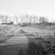 Illustration for article titled Ilford BW Disposable Camera